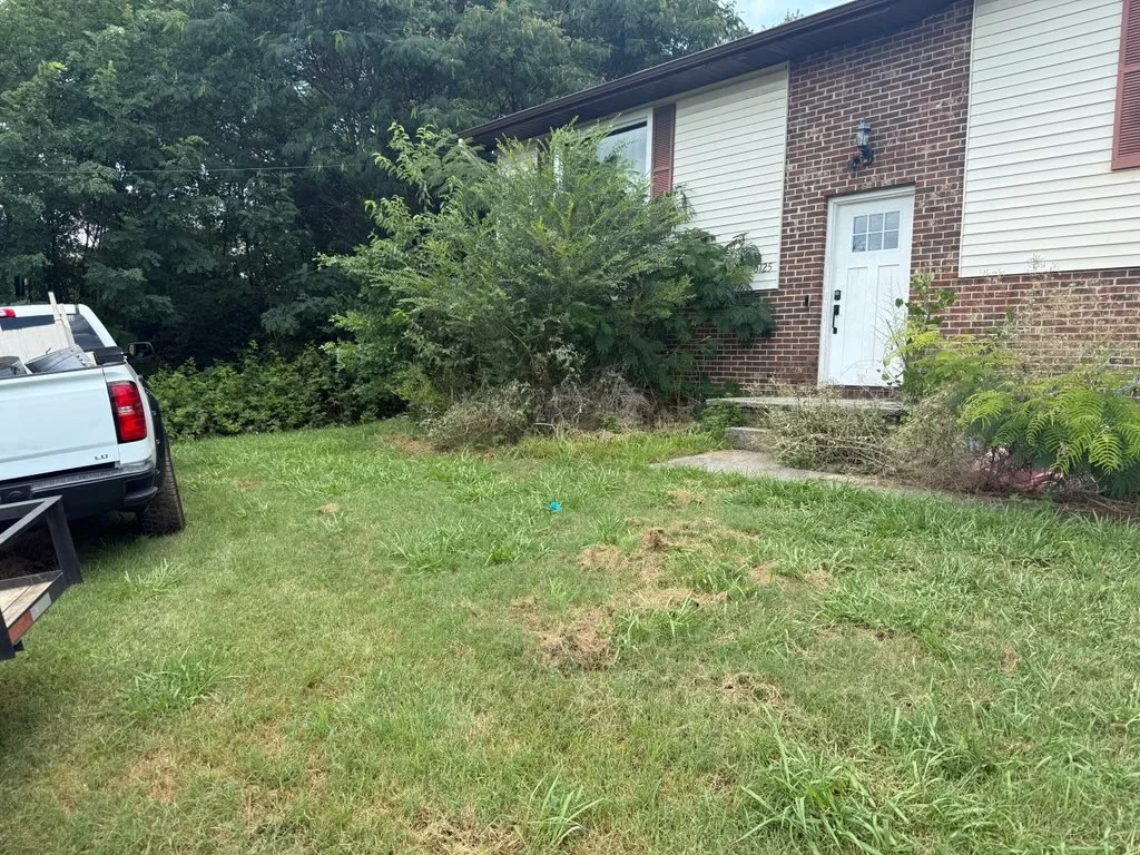 Brick home with cleared yard and removed overgrown vegetation near entrance