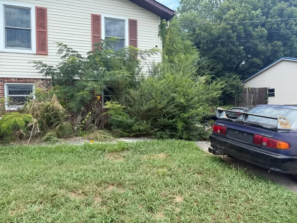 Before yard cleanup showing overgrown shrubs and vegetation cleared from residential home front