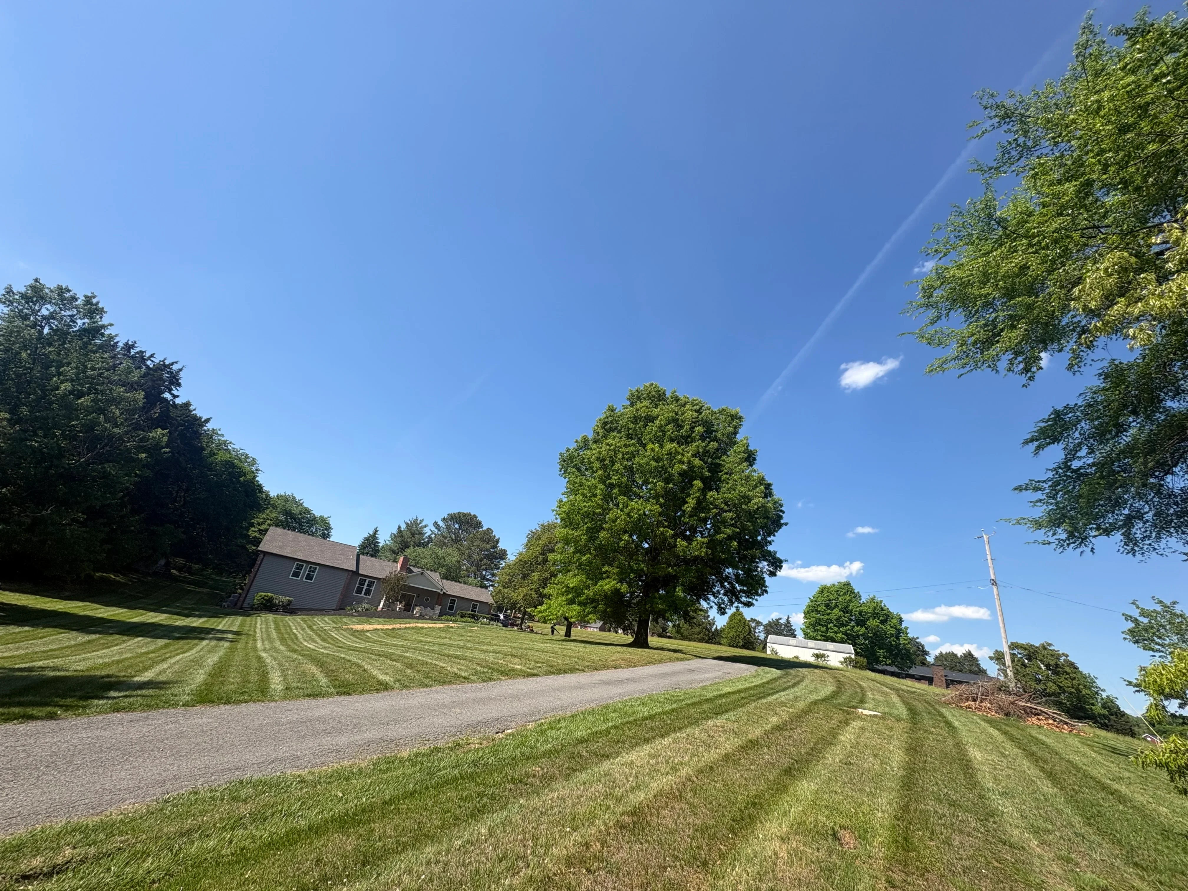 Residential driveway with striped lawn and mature trees on sloped property