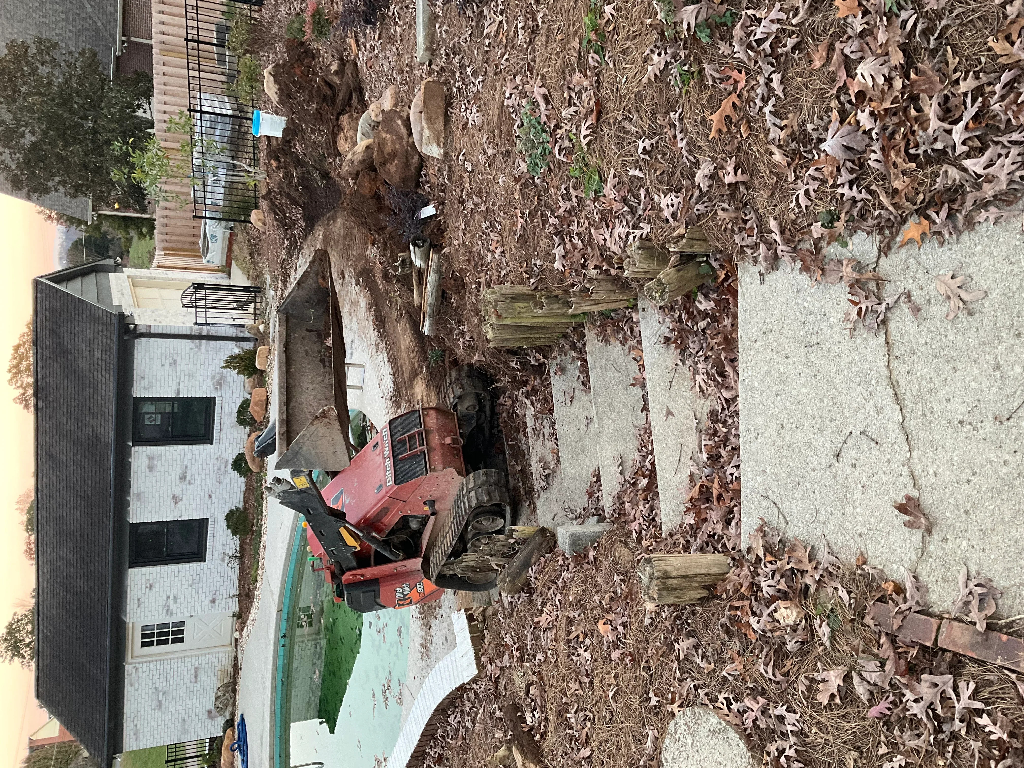 Overgrown residential yard with dead ivy vines and leaf debris cleared from concrete patio area