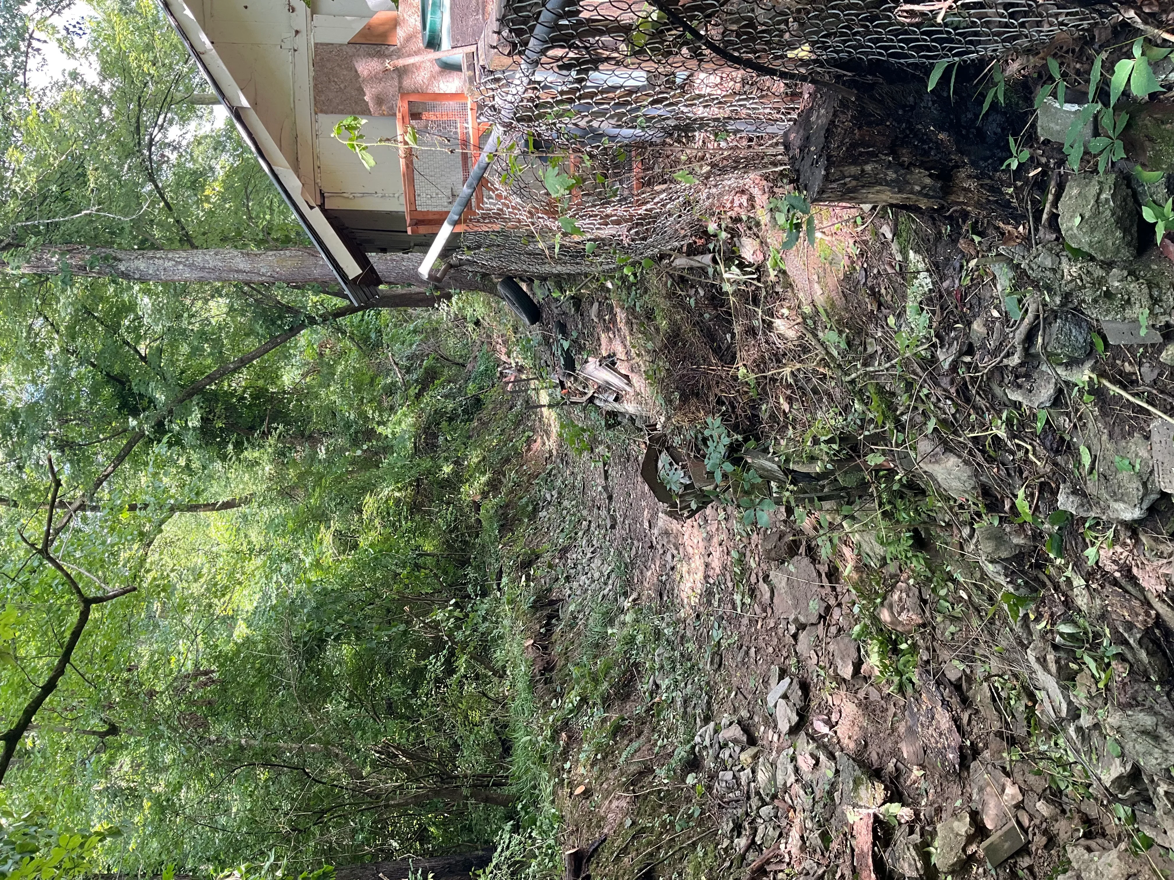 Brick building with overgrown vines and vegetation cleared from exterior walls and foundation