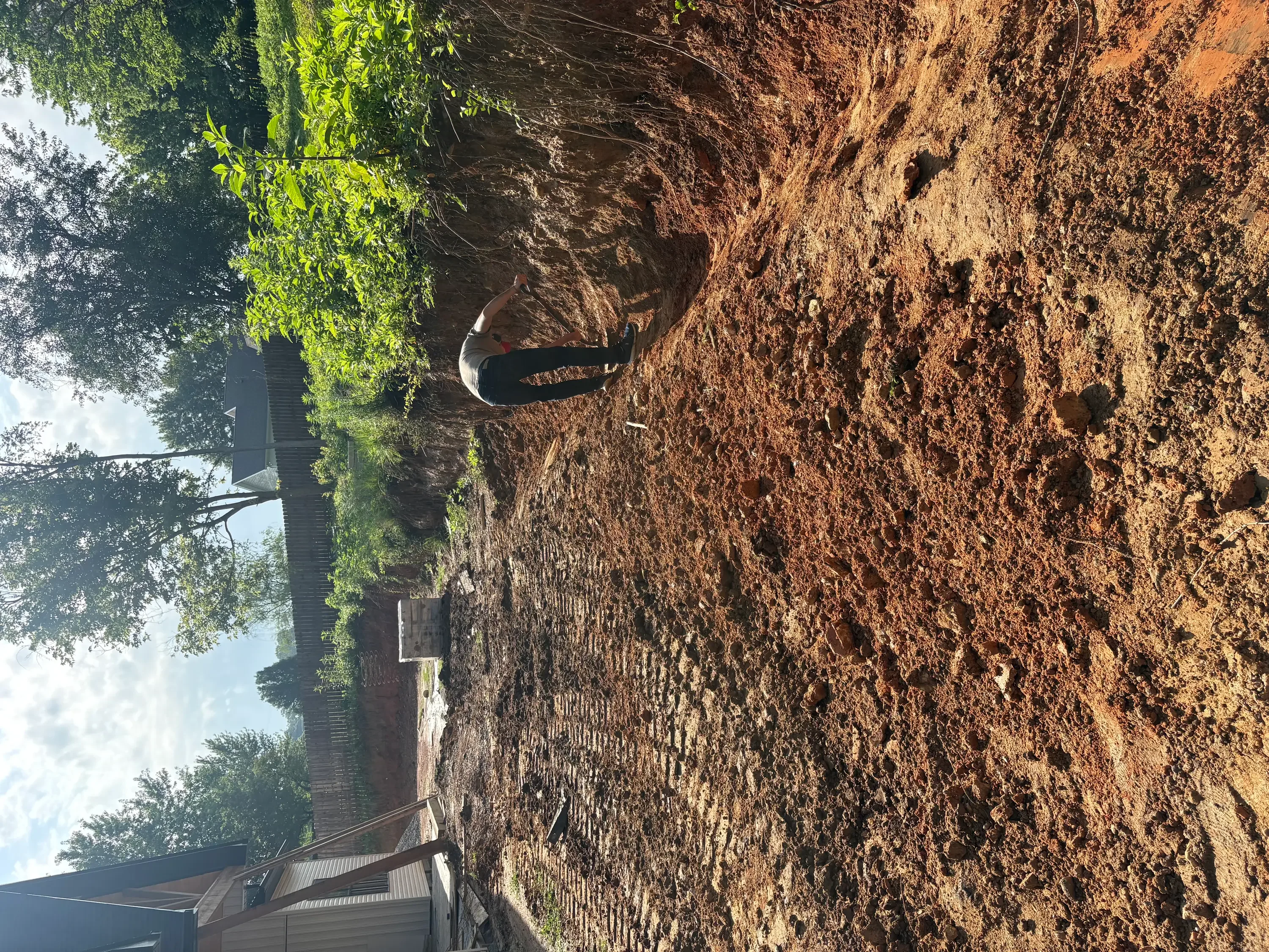 Excavated driveway site with compacted red clay soil and mature trees