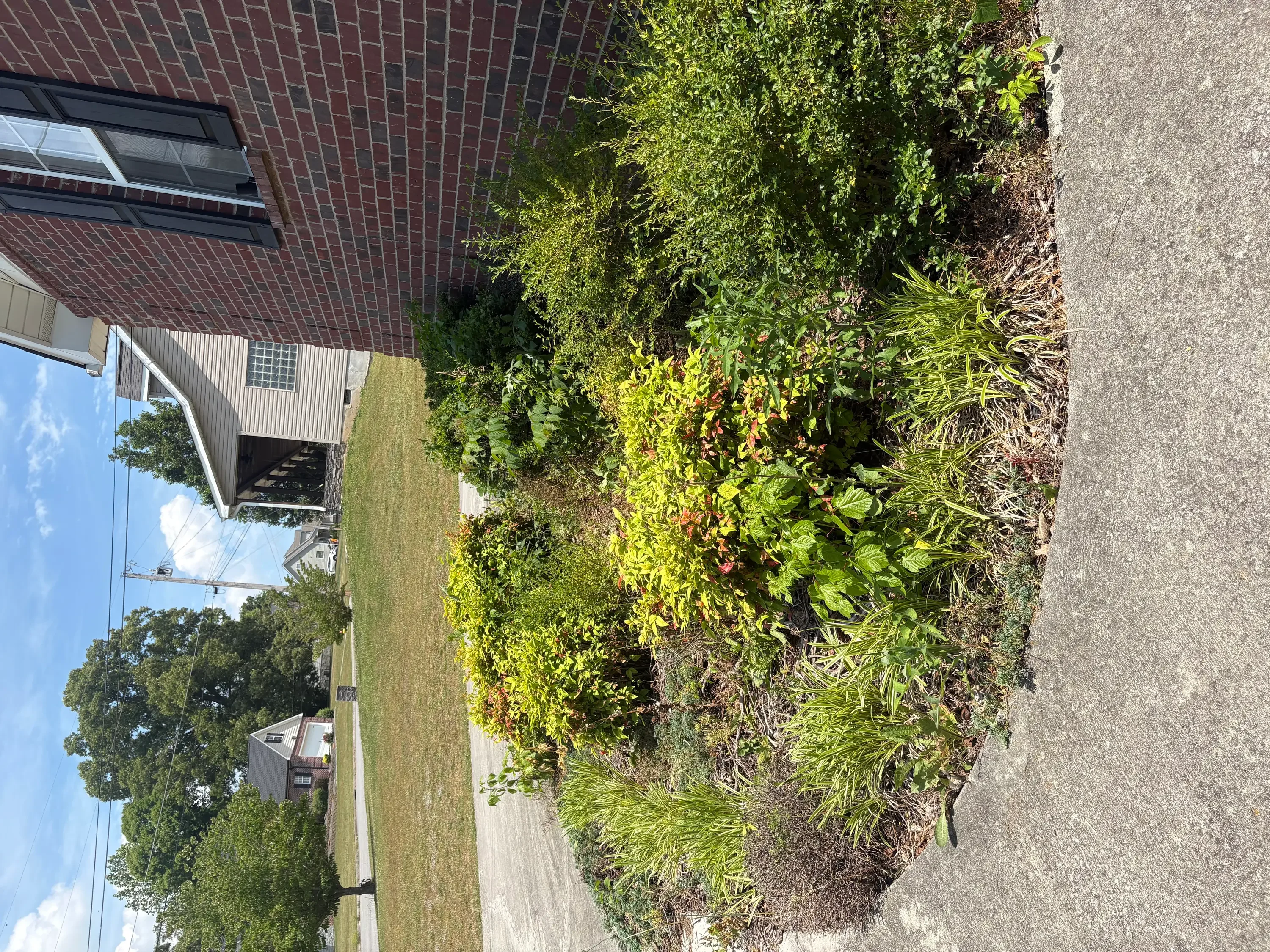 Brick home with newly landscaped front beds, concrete driveway, and lush green plantings